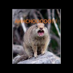 Meet your Posher, Ricardo